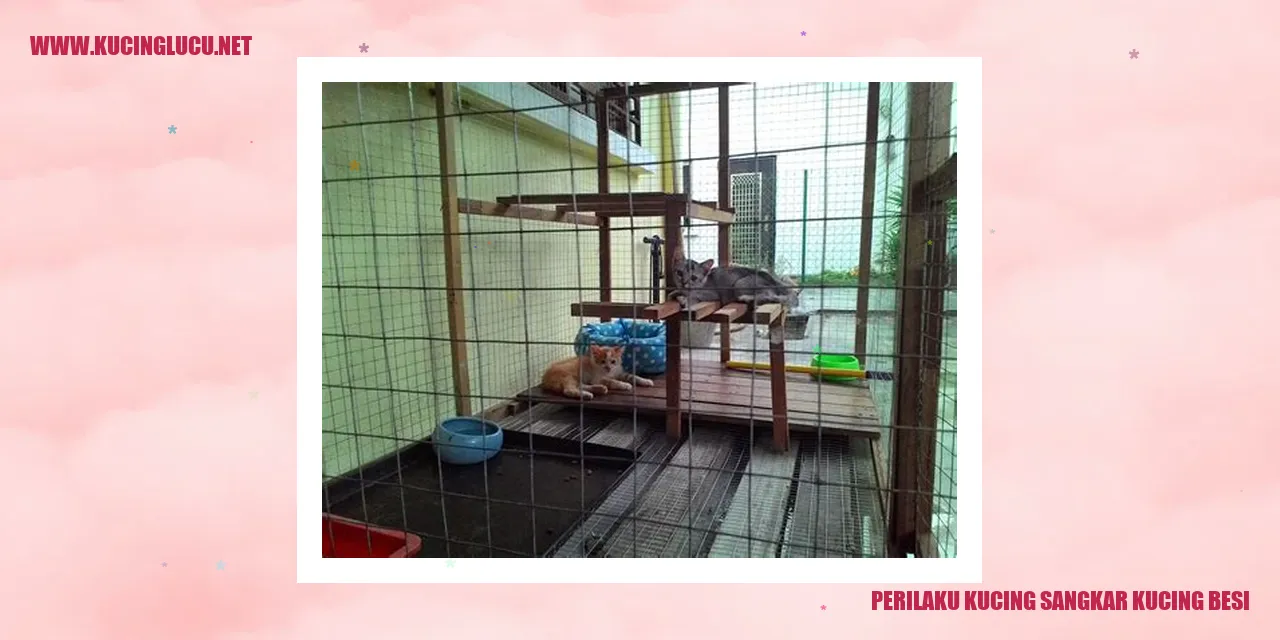 Kucing Sangkar Kucing Besi