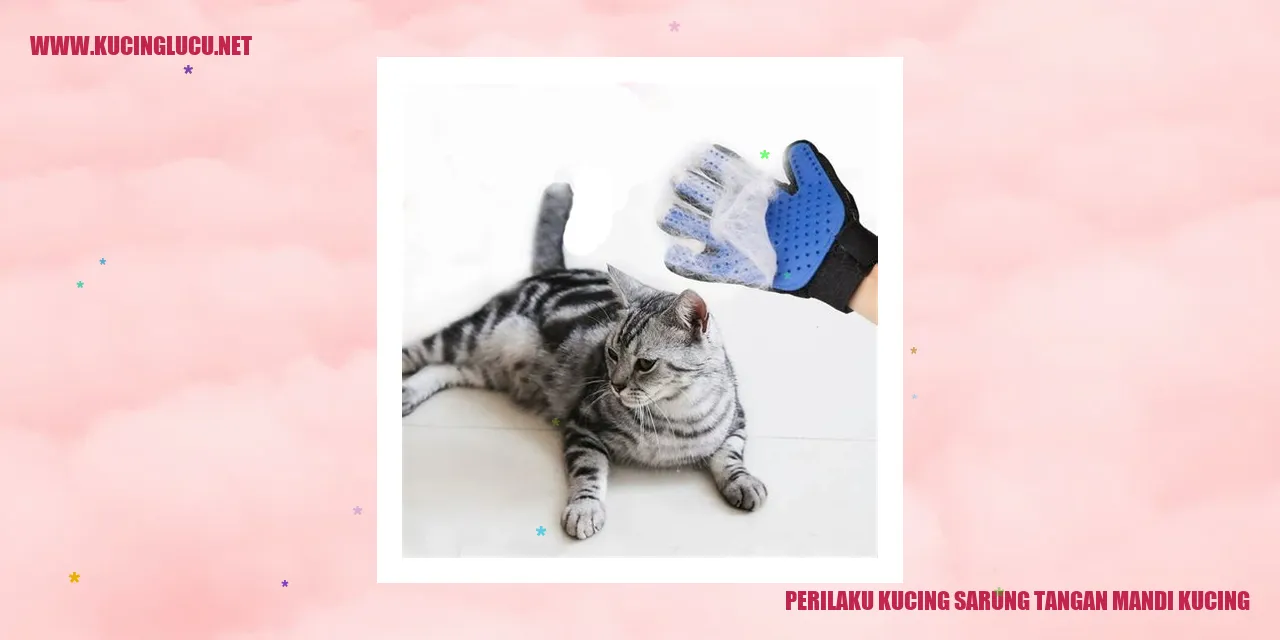 Gambar kucing dengan sarung tangan mandi kucing
