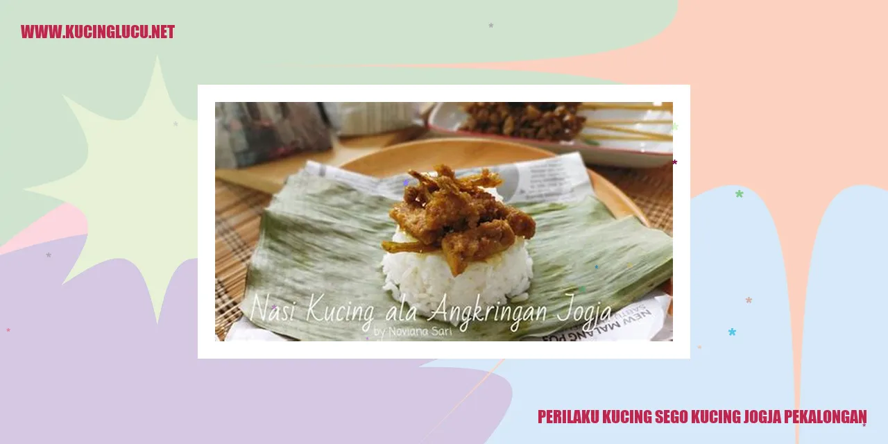 Kucing Sego Kucing Jogja Pekalongan