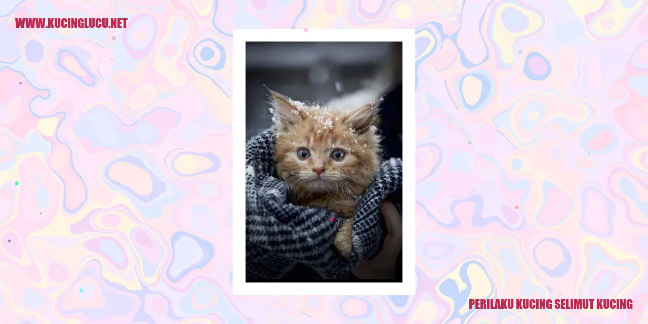 Perilaku Menggurat Kucing yang Menggemaskan