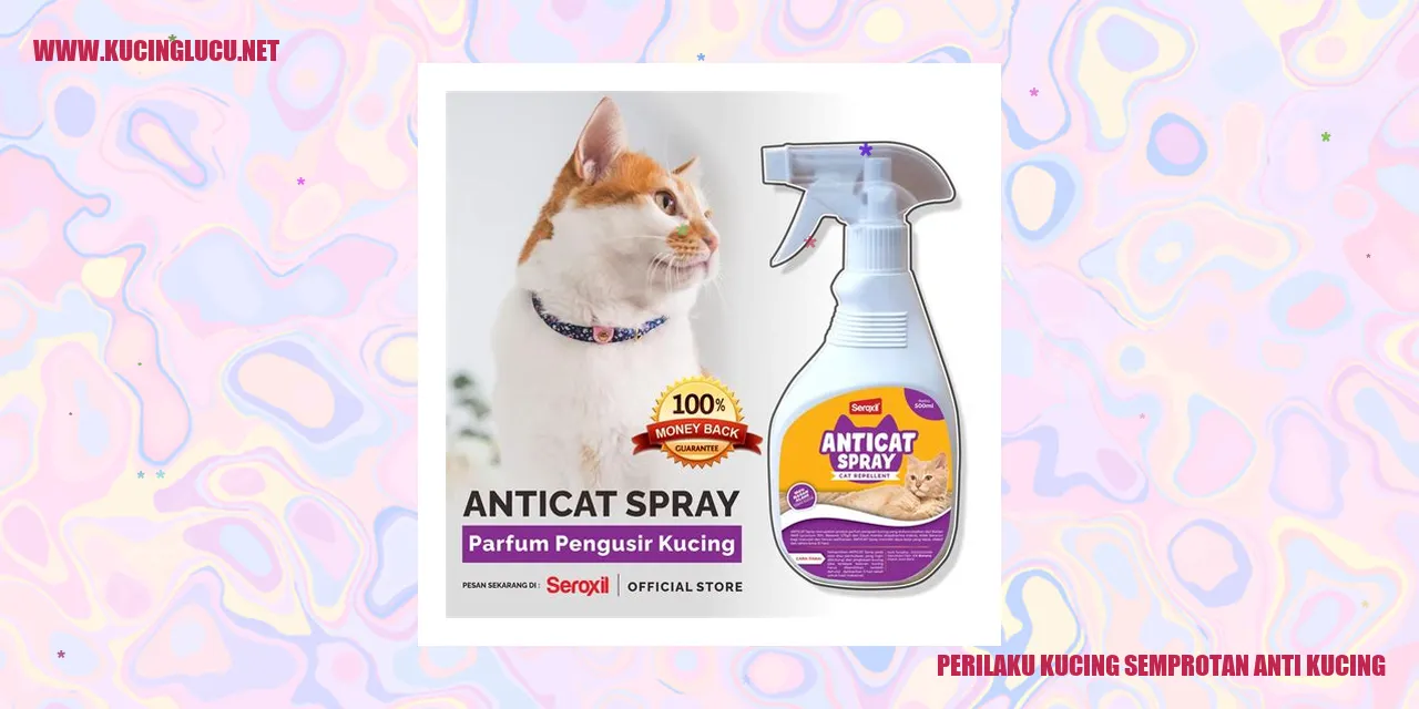 Gambar Kucing Semprotan Anti Kucing