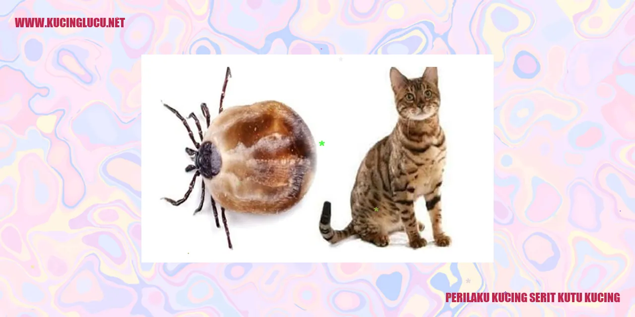 Gambar Kucing tengah merawat diri dengan serit kutu kucing