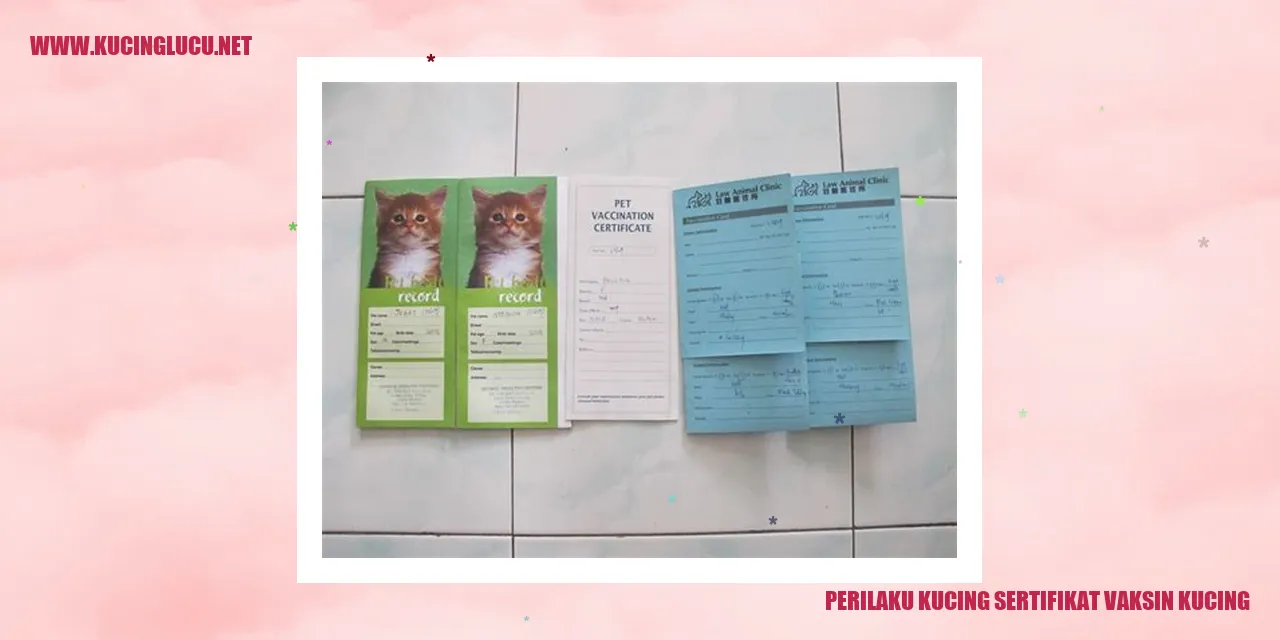 Perilaku Kucing dan Sertifikat Vaksin Kucing