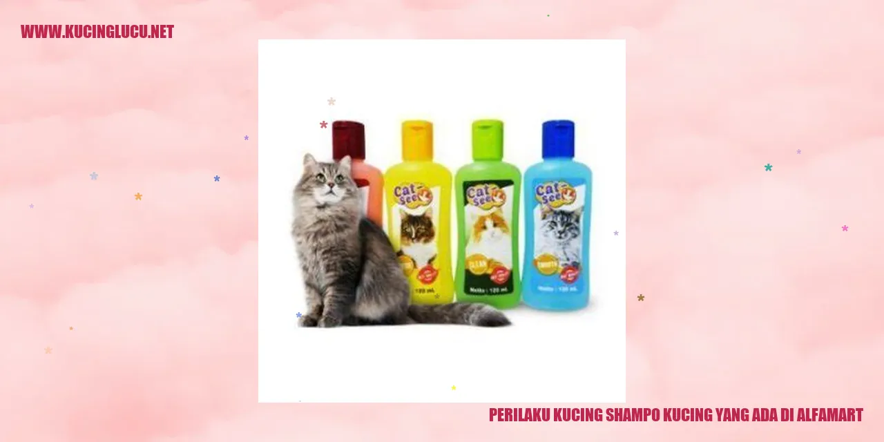 Kucing mencari shampo kucing di Alfamart
