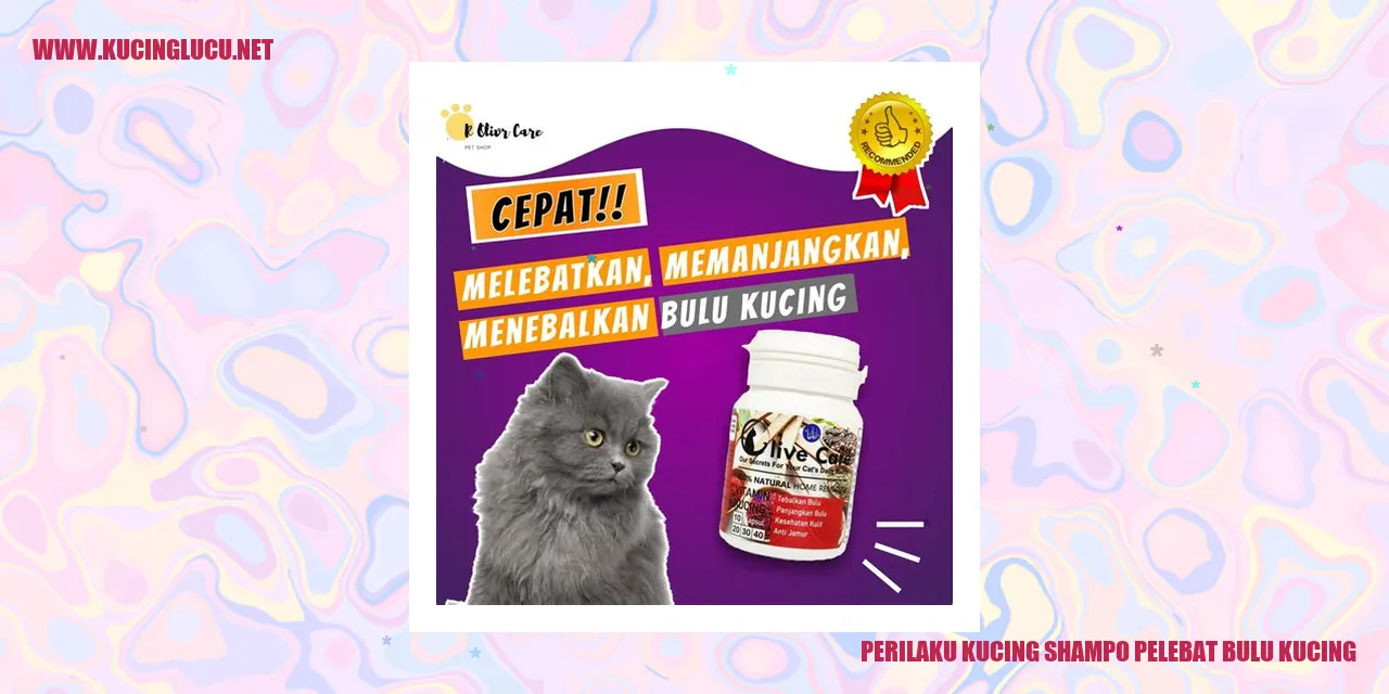 Perilaku Kucing Shampo Pelebat Bulu Kucing
