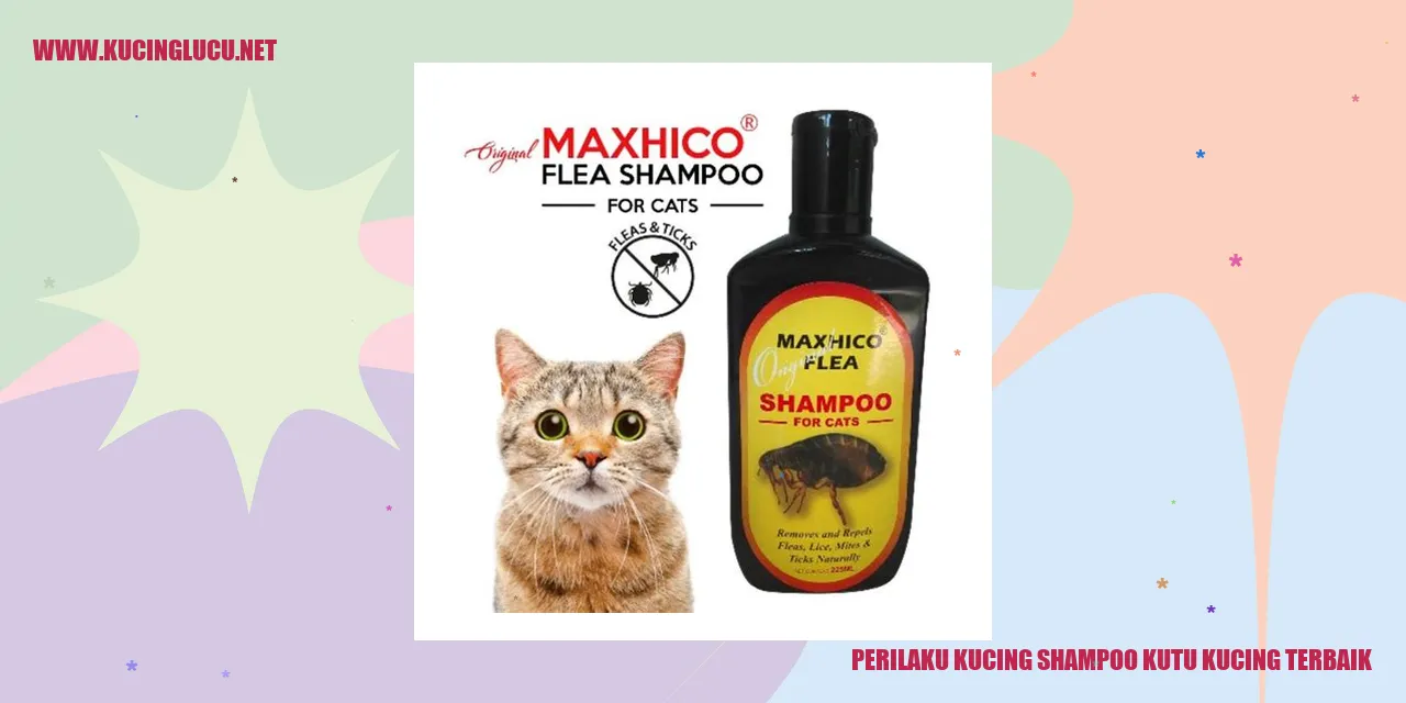 Perilaku Kucing saat Menggunakan Shampoo Kutu Kucing