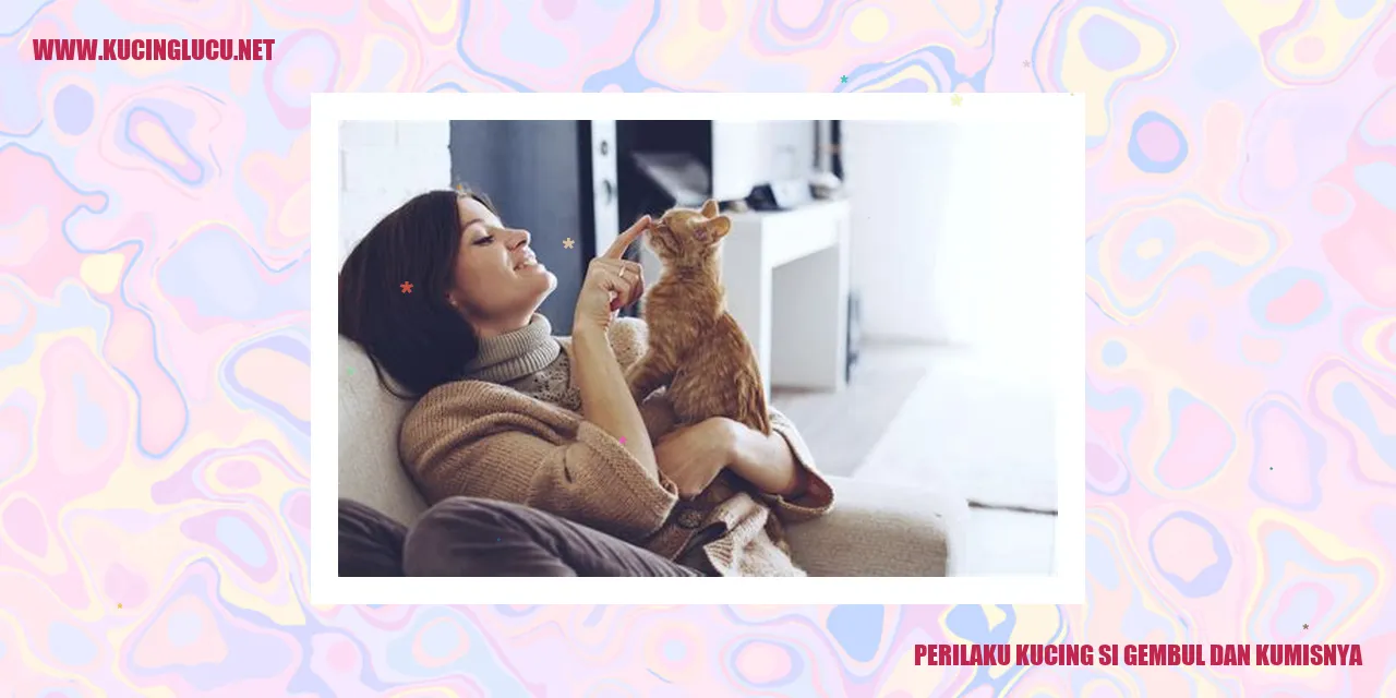 Kucing Si Gembul dan Kumisnya