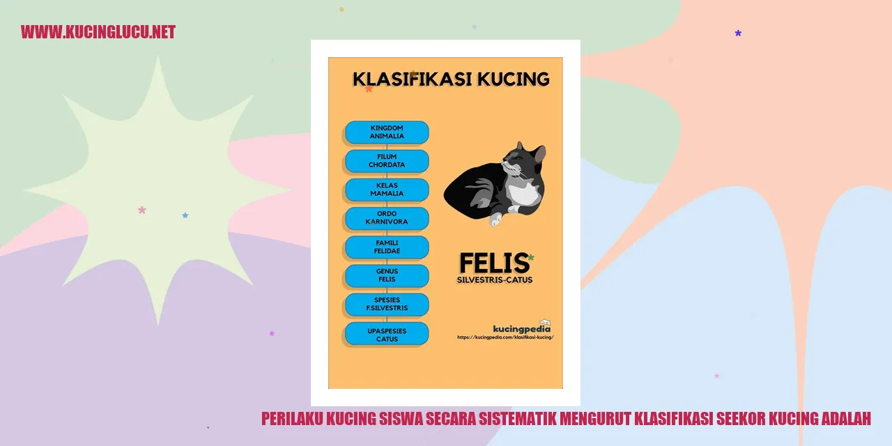 Perilaku Kucing Pelajar