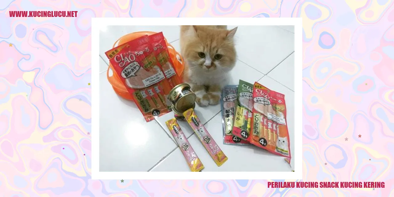 Kucing sedang menikmati camilan kering