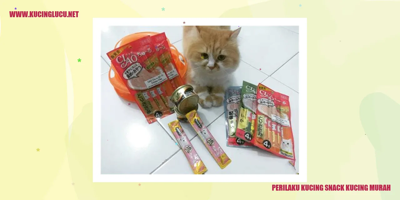 Perilaku Kucing saat Diberikan Camilan Kucing yang Terjangkau