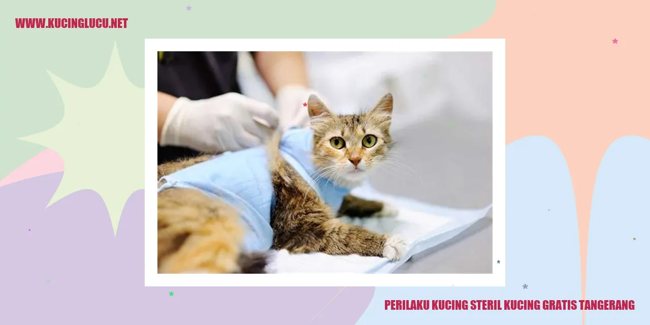 Perilaku Kucing Steril Kucing Gratis di Tangerang