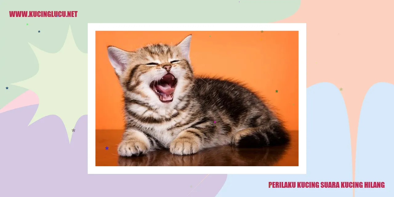 Kucing suara kucing hilang