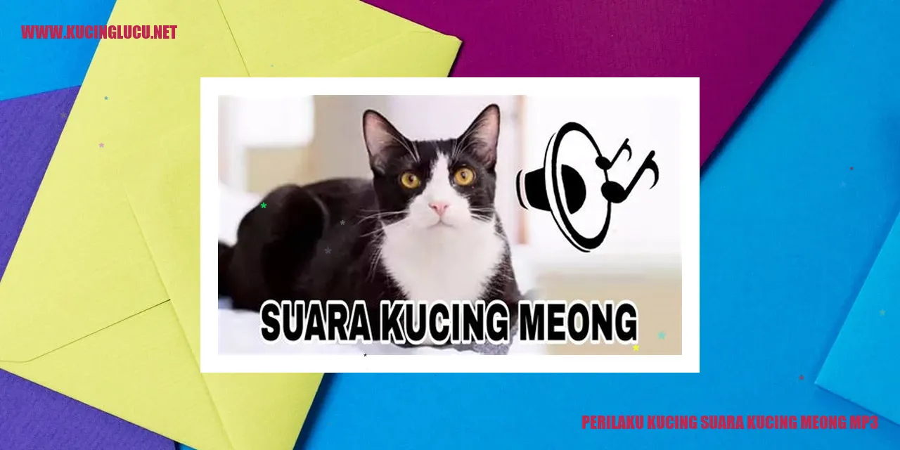 Kucing suara kucing meong mp3