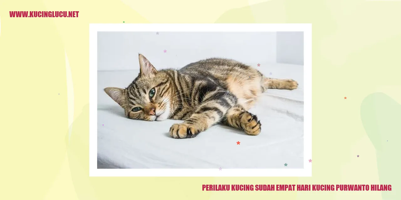 Perilaku Kucing