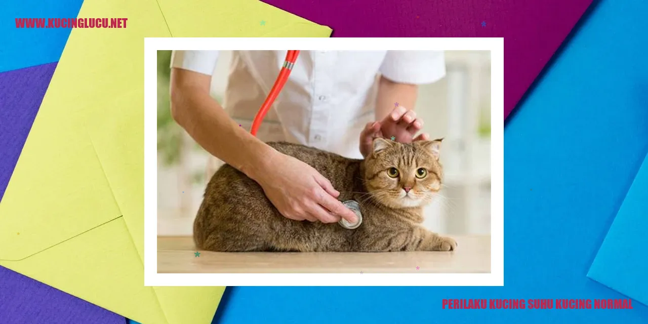 Gambar Kucing Sedang Tidur