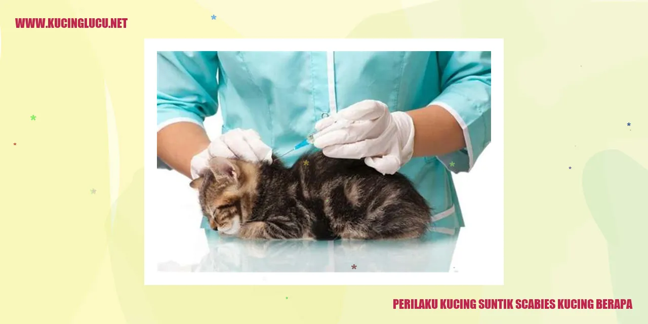 Perilaku Kucing yang Mengalami Suntikan Scabies