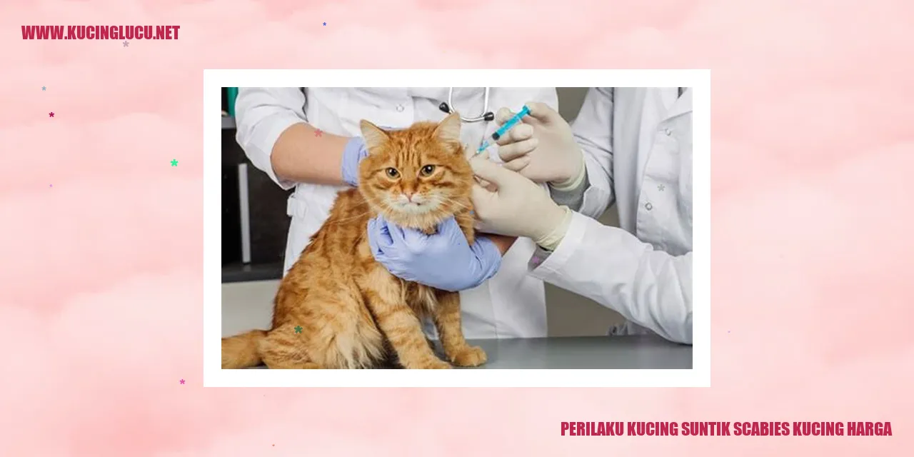 Perilaku Kucing Suntik Scabies Kucing Harga