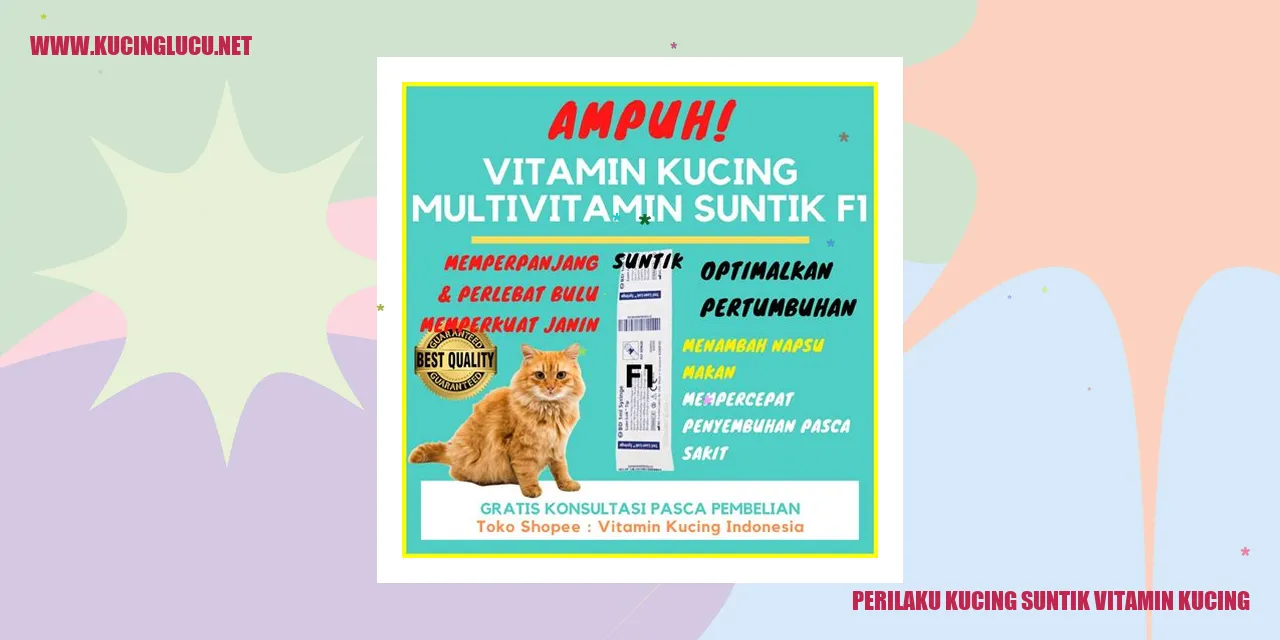 Perilaku Kucing Ketika Diberikan Vitamin Melalui Suntikan