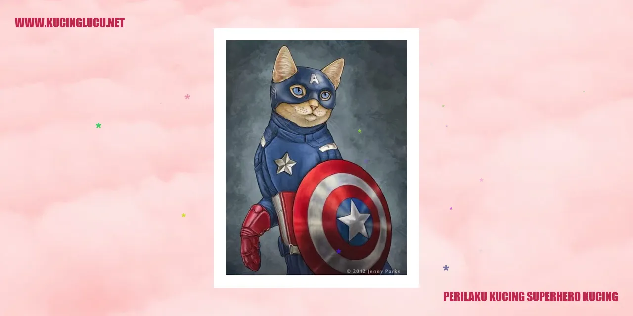Superhero Kucing