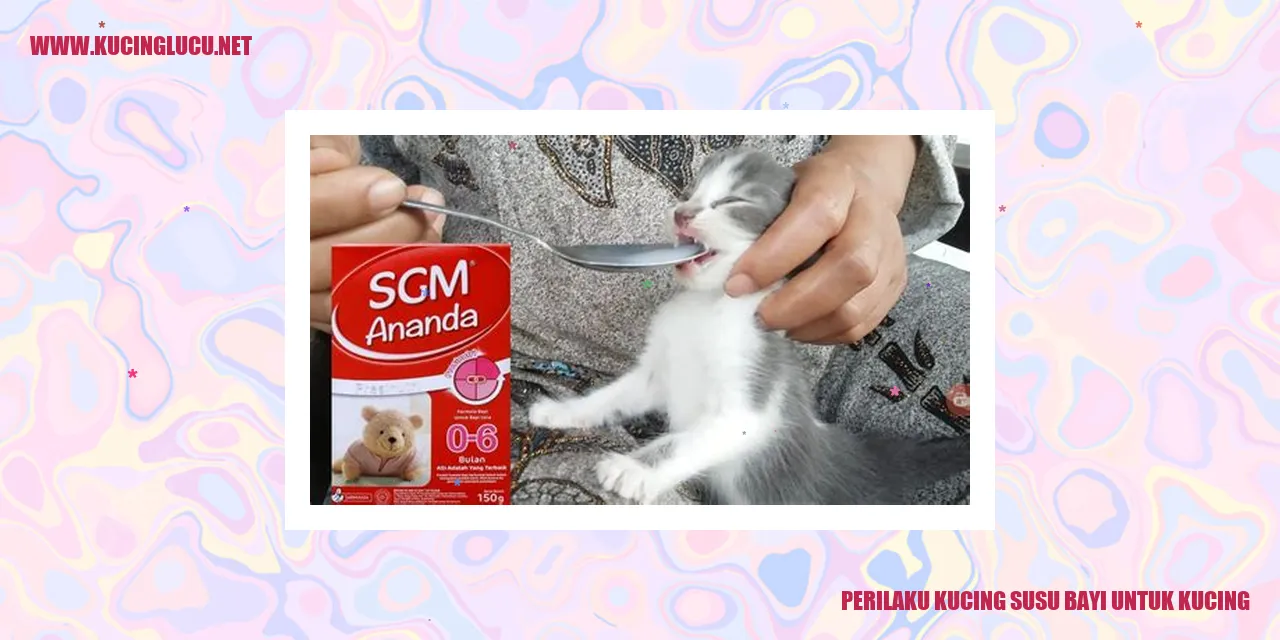 Ilustrasi Kucing Menyusui