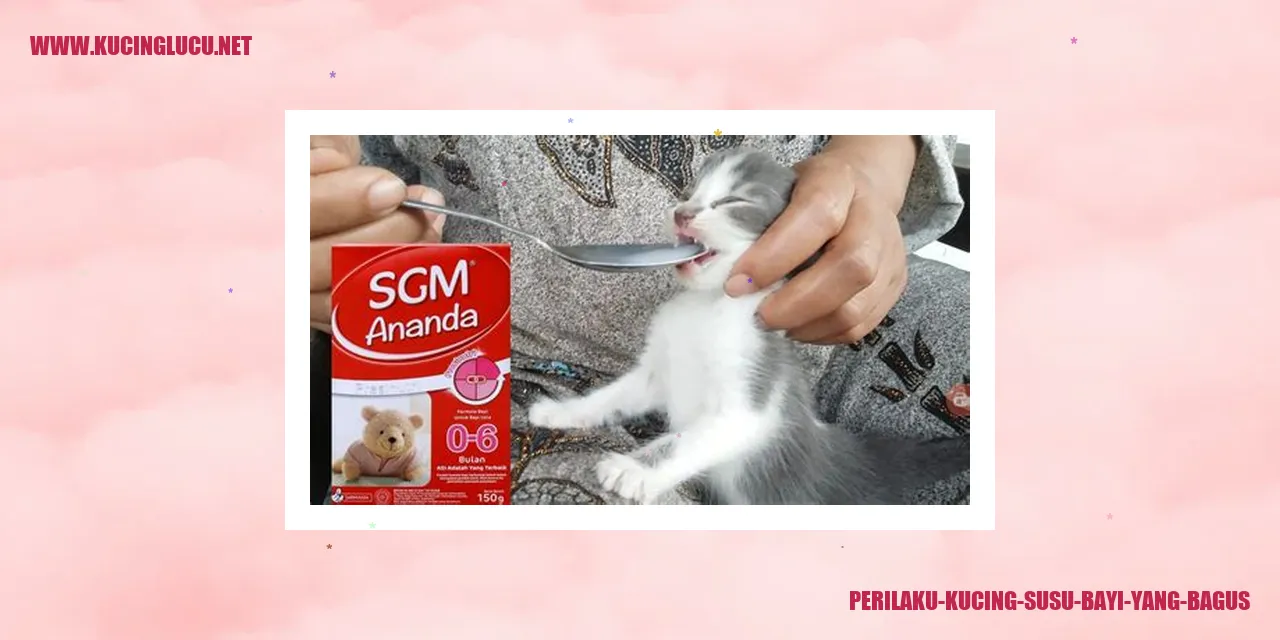 Gambar Kucing Susu Bayi yang Baik