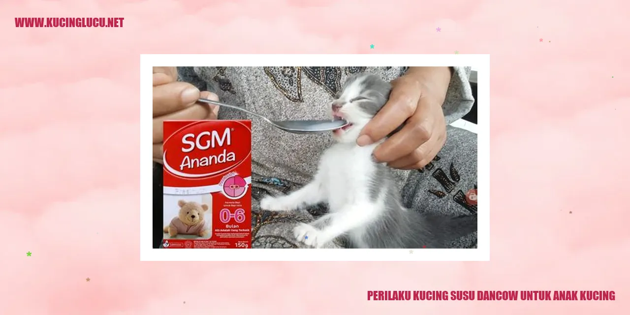 Perilaku Kucing Susu Dancow untuk Anak Kucing