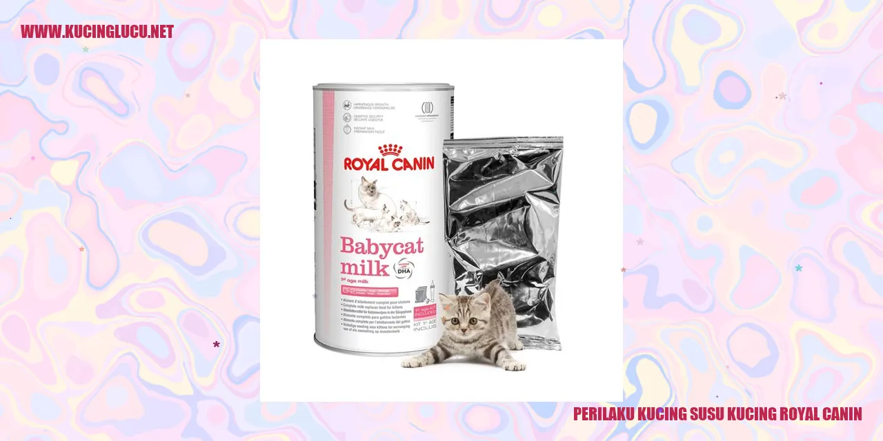 Perilaku Kucing susu kucing royal canin