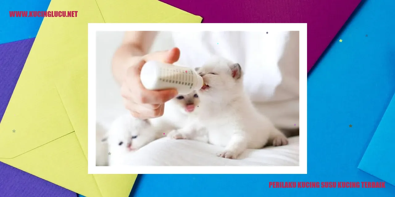 Perilaku Kucing Susu Kucing Terbaik