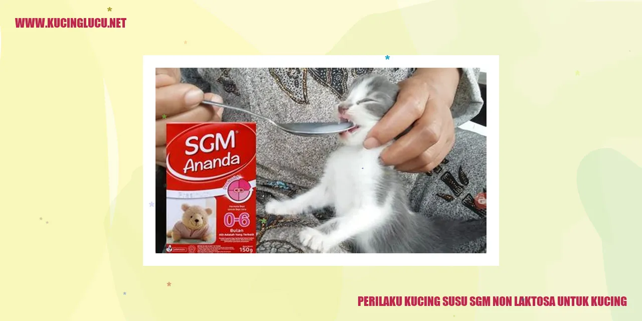 Perilaku Kucing susu sgm non laktosa untuk kucing