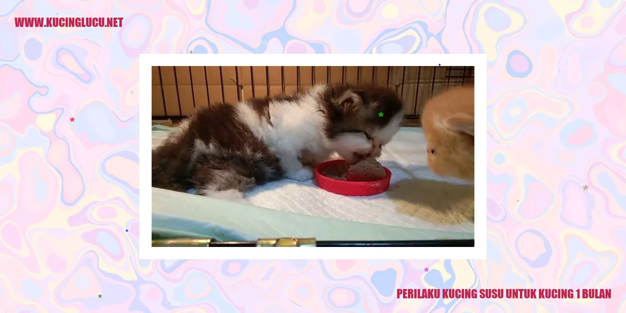 Perilaku Kucing Susu