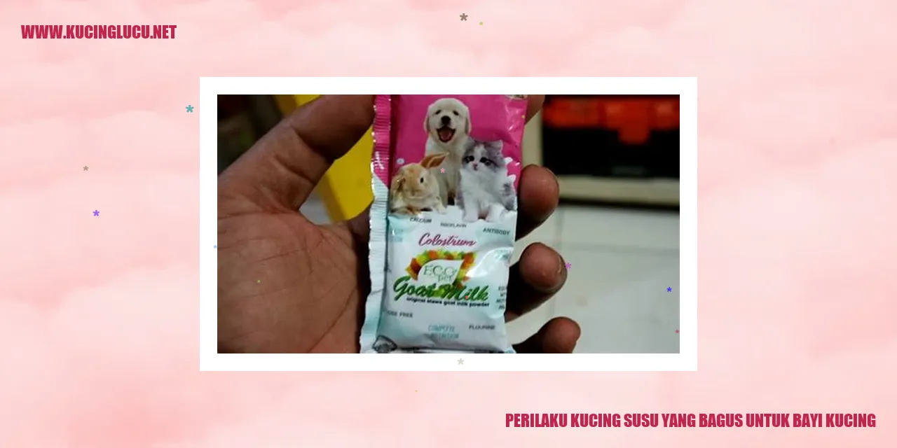 Sebuah gambar menampilkan seorang kucing sedang menyusui bayi kucing