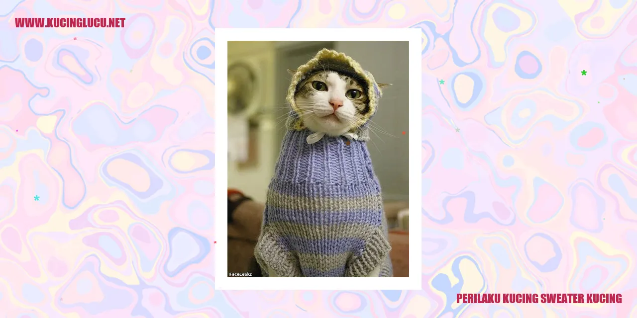 Perilaku Kucing saat Mengenakan Sweater Spesial