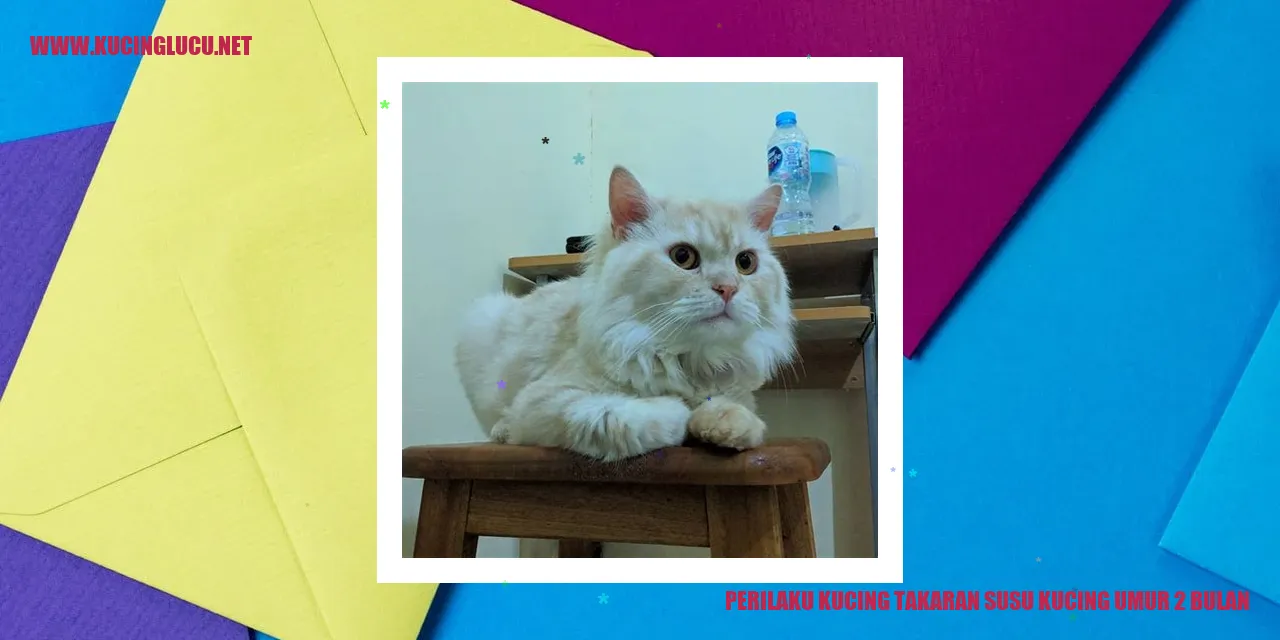 Perilaku Kucing takaran susu kucing umur 2 bulan