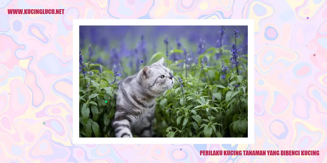 Perilaku Kucing yang Kurang Disukai oleh Tanaman