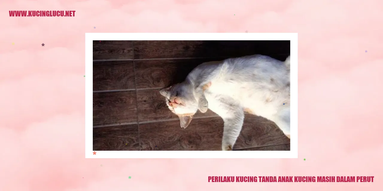 Perilaku Kucing saat Anak Kucing Masih dalam Perut