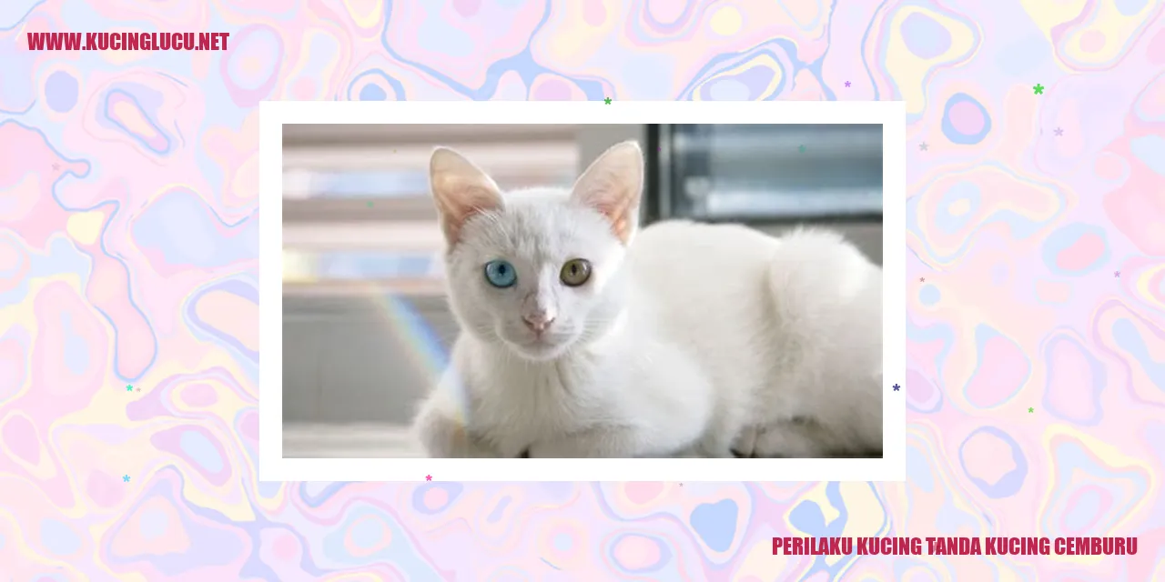 Perilaku Kucing Tanda Kucing Cemburu