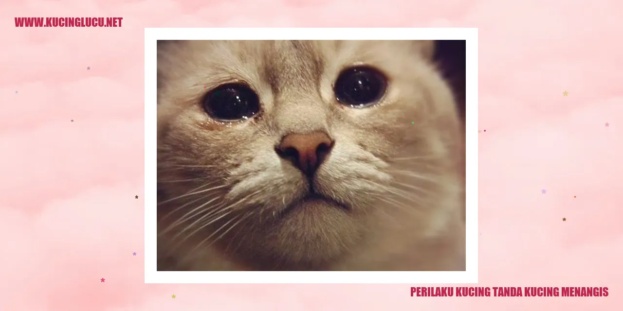 Kucing Menangis