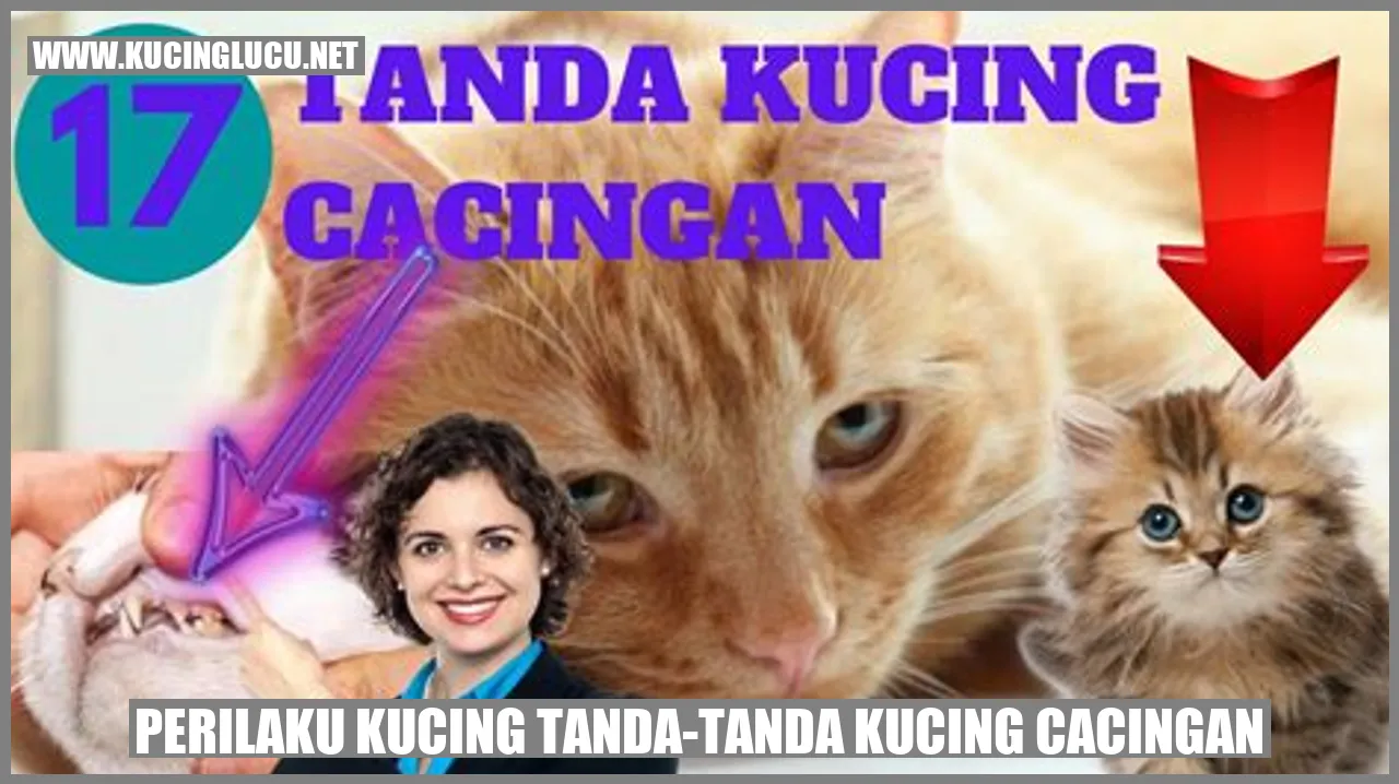 Ilustrasi kucing cacingan