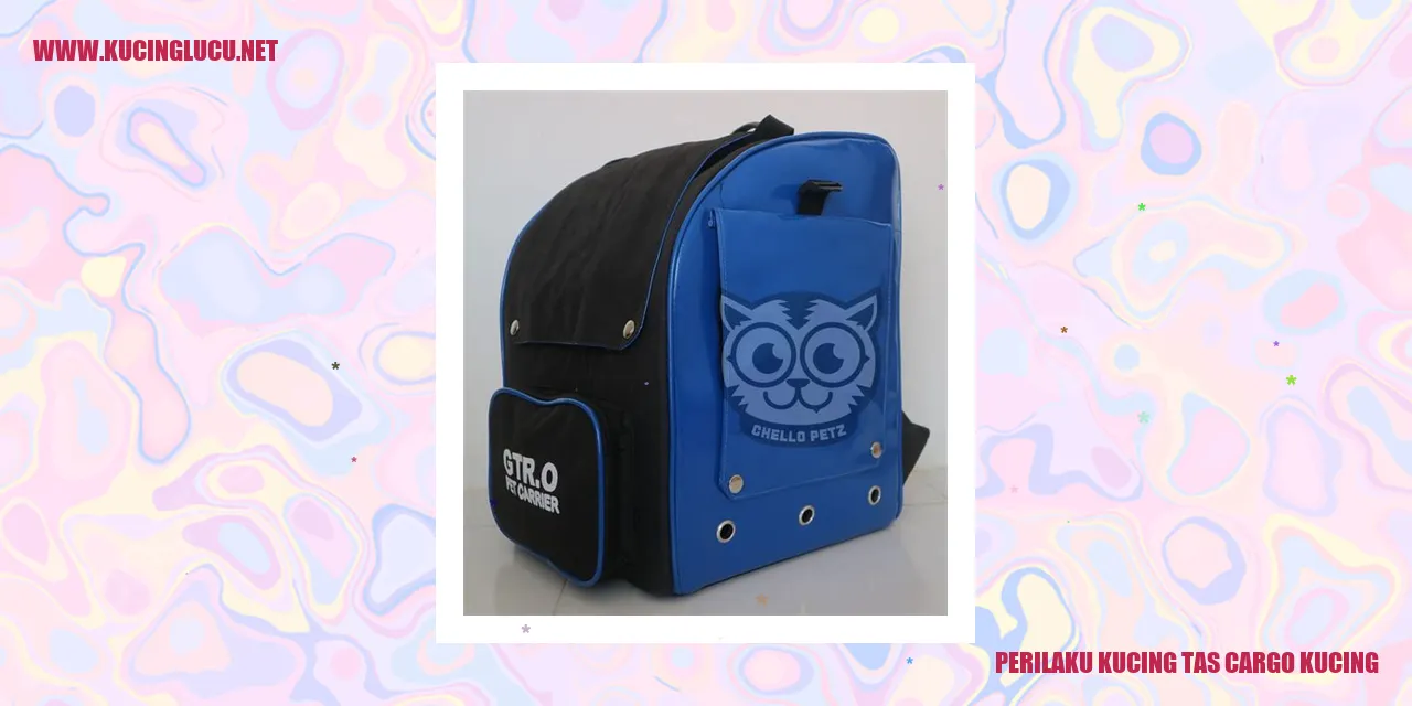 Perilaku Kucing tas cargo kucing