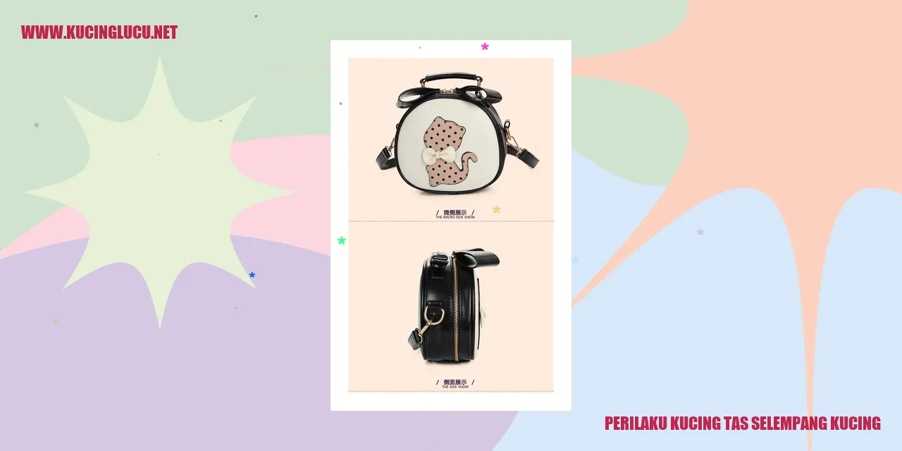 Perilaku Kucing dengan Tas Selempang