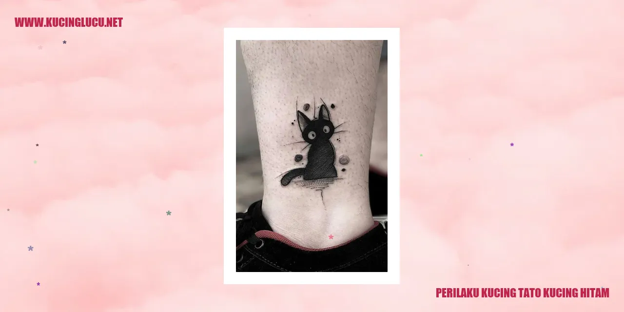 Perilaku Kucing Tato Kucing Hitam