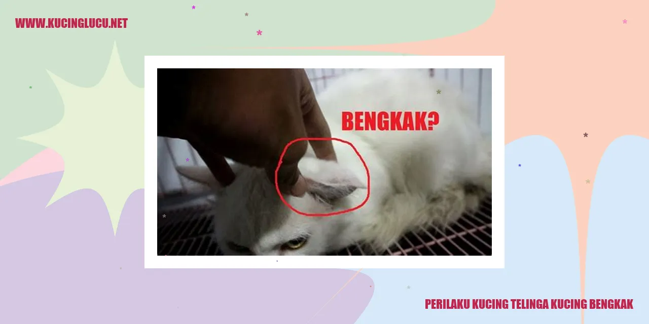 Kucing dengan telinga bengkak