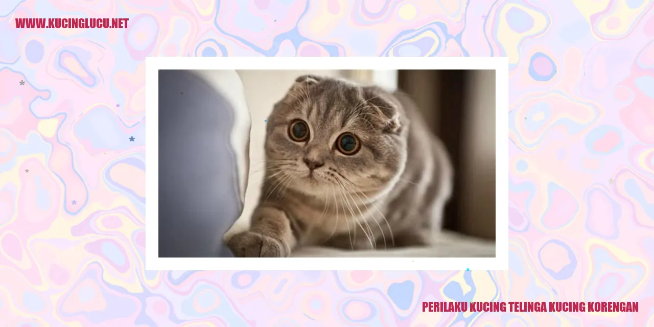Perilaku Kucing Telinga Kucing Korengan
