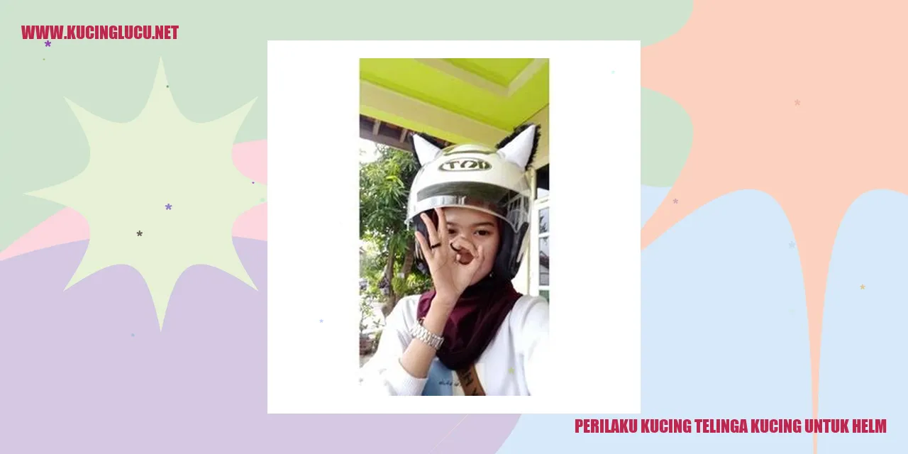 Gambar Kucing Menggunakan Helm