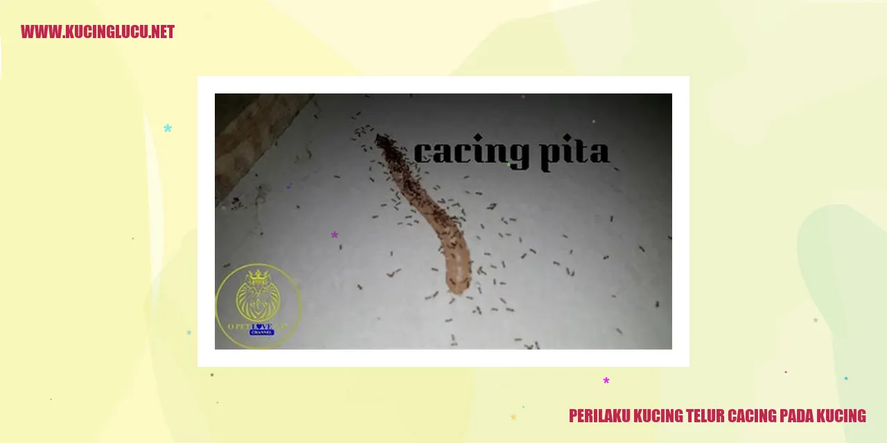 Kucing dengan telur cacing