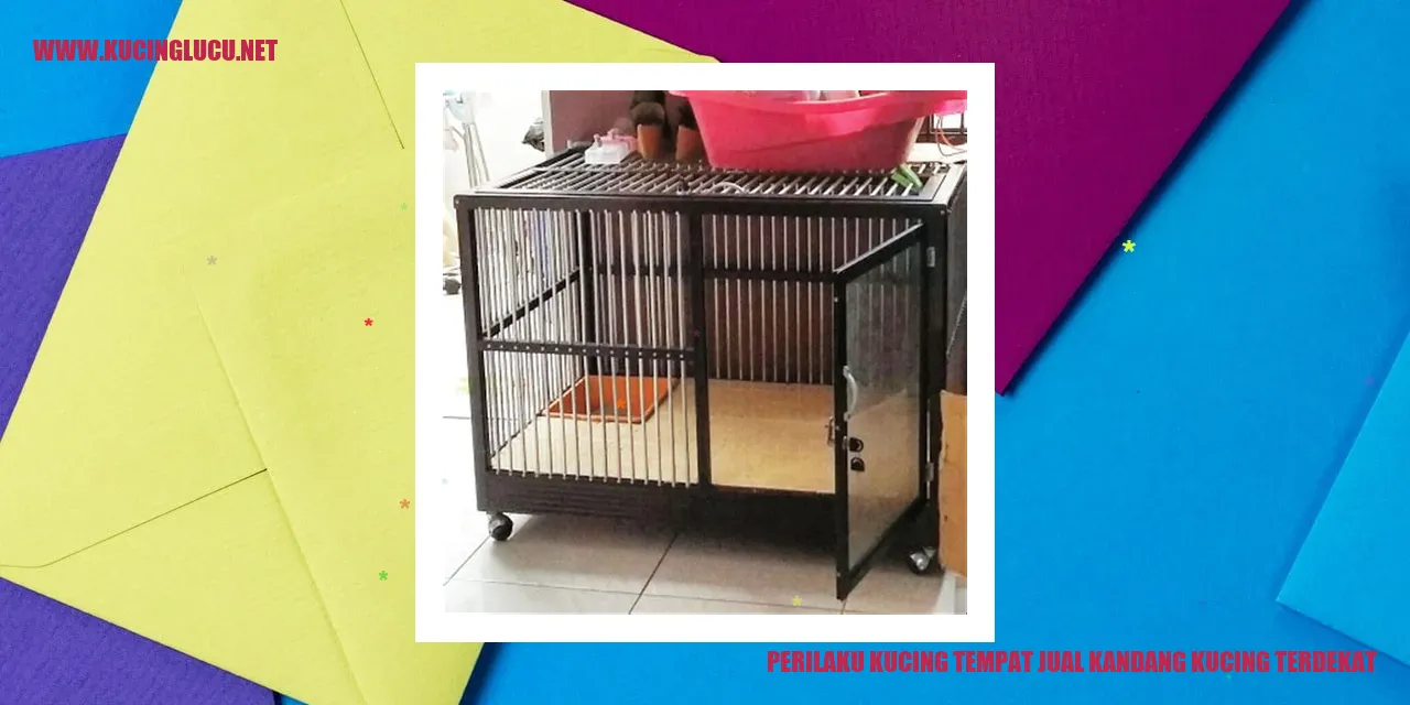 Perilaku Unik Kucing