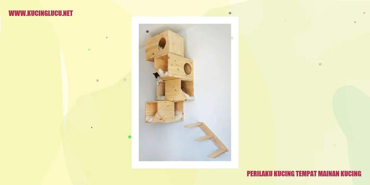 Perilaku Kucing