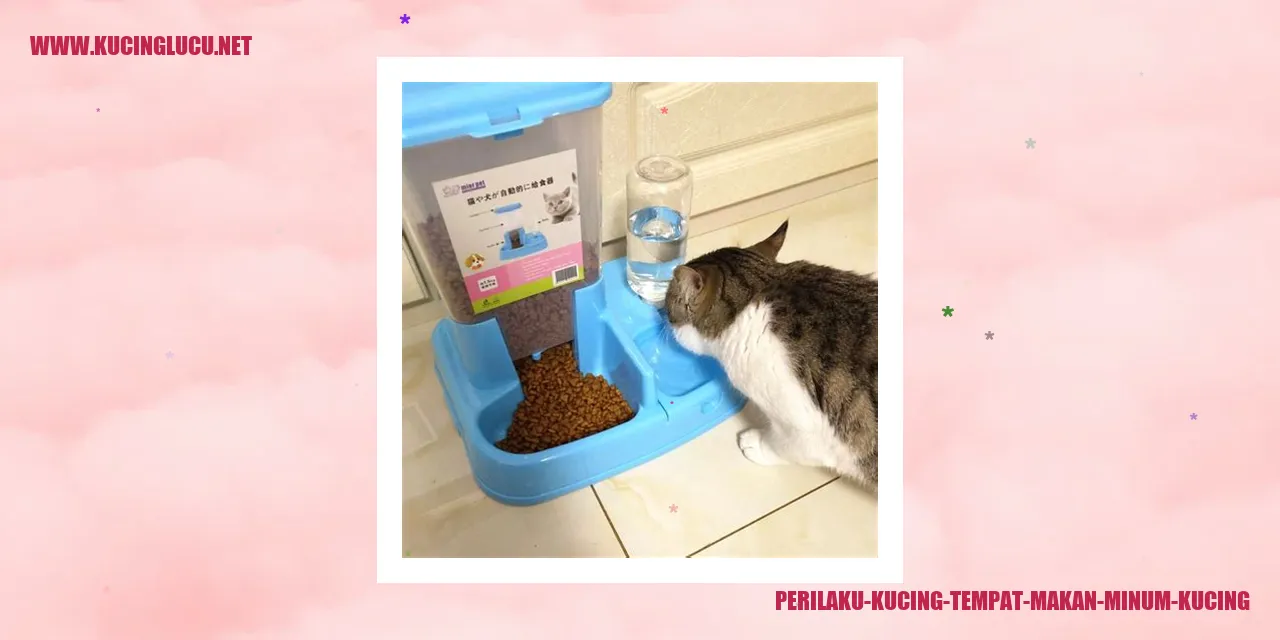 Perilaku Kucing di Tempat Makan dan Minum