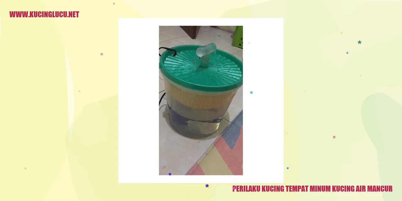 Gambar kucing didepan air mancur