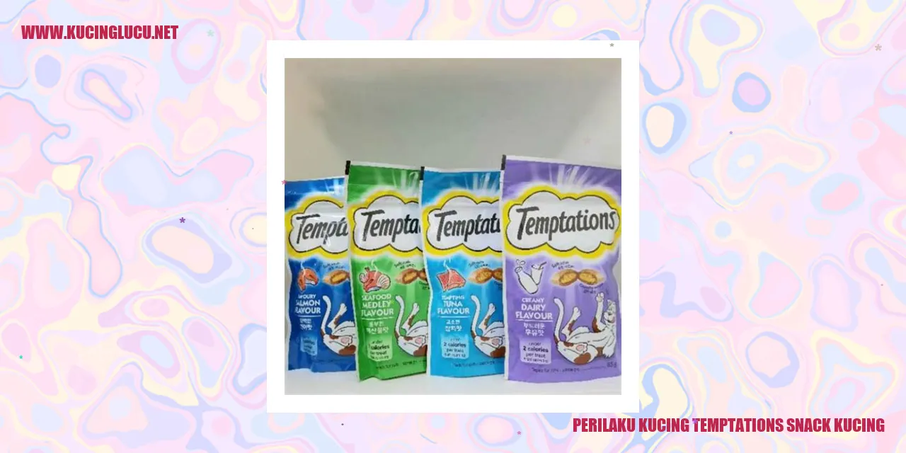 Gambar Perilaku Kucing Temptations Snack Kucing